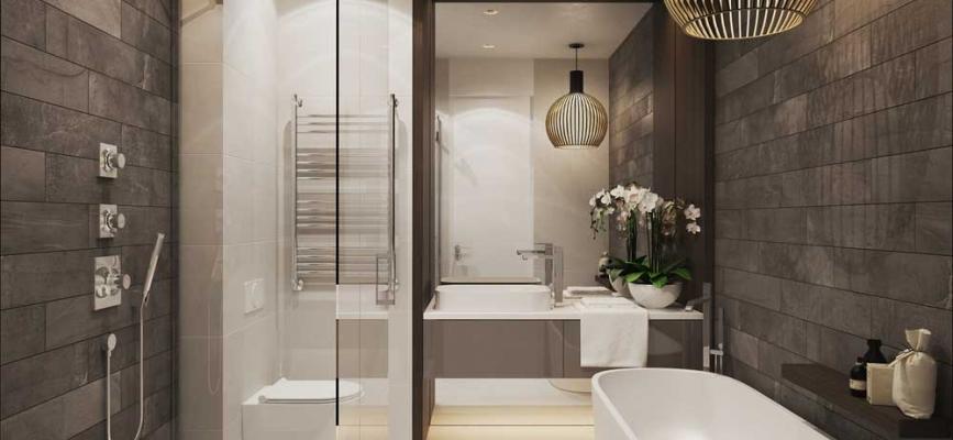How to arrange a shower and bath in one room: design ideas