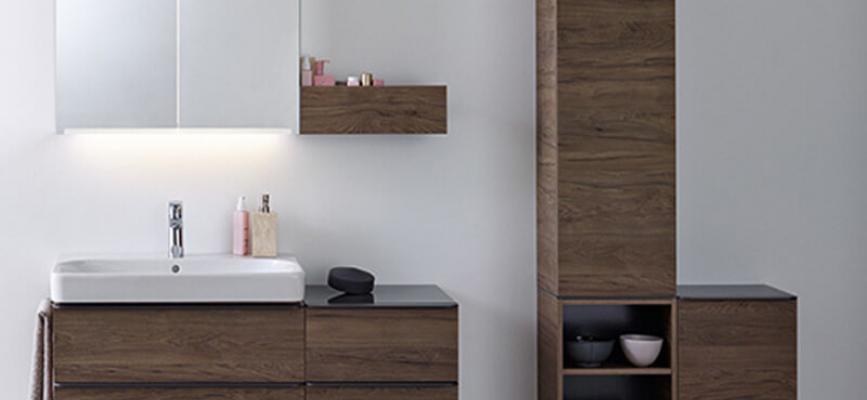 Rules for choosing designer bathroom furniture